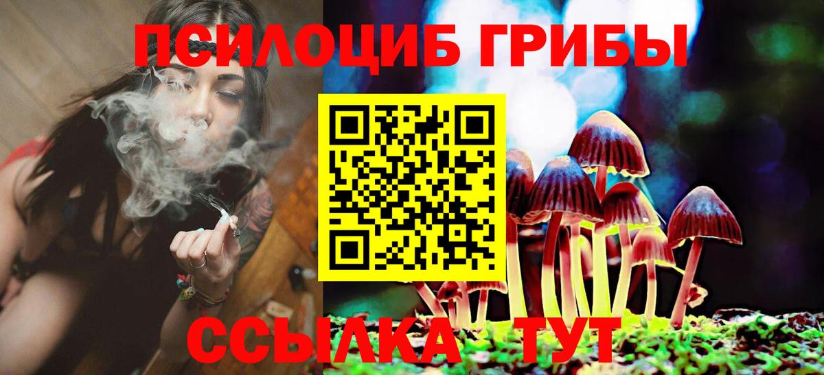 Псилоцибиновые грибы мицелий Алатырь