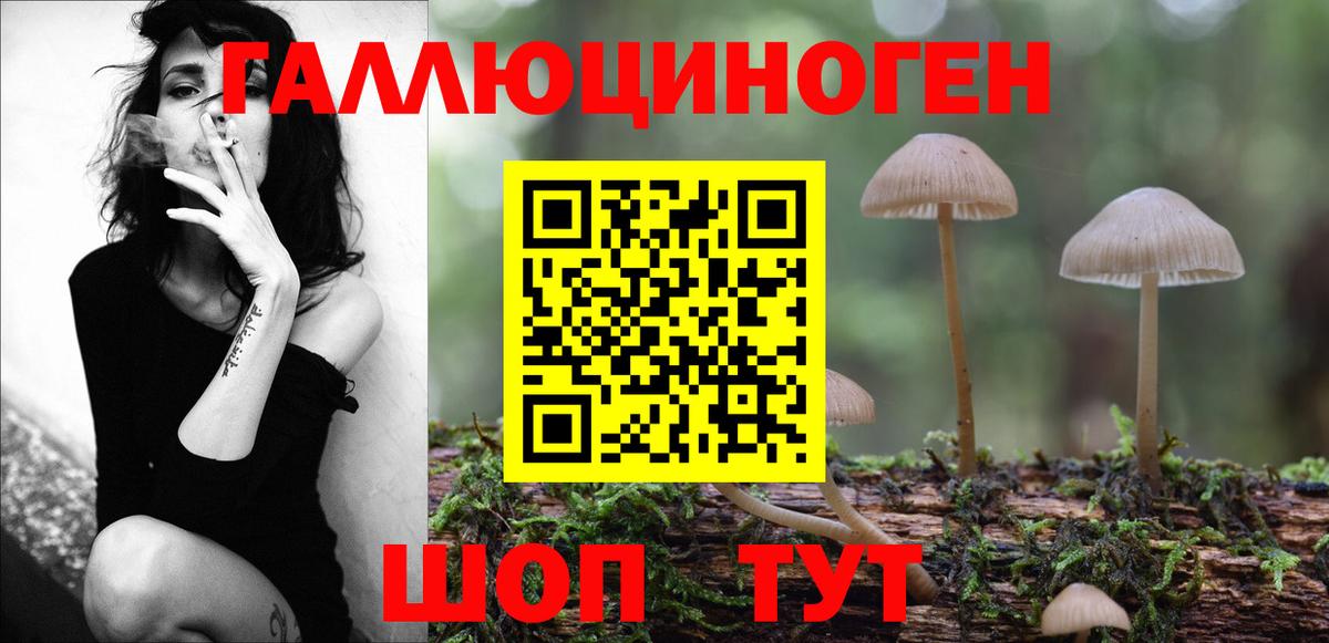 Алатырь  Псилоцибиновые грибы ЛСД  Вход с VPN 